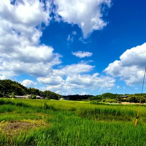 おはようございます🌞の写真1枚目