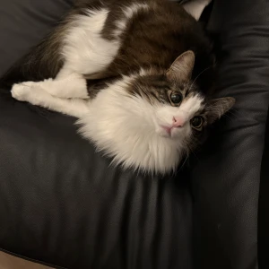 もえです🐰の写真1枚目