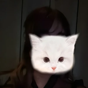 こんばんは🌙の写真1枚目