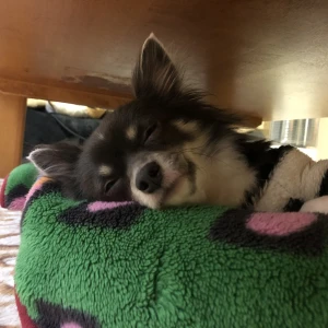 今日はお休みもらってますの写真1枚目