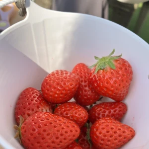 出勤してます💐の写真1枚目