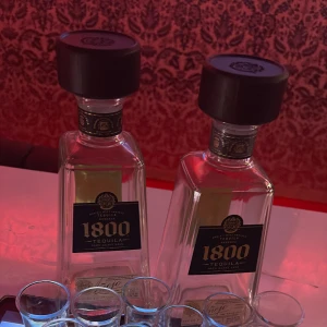 ティアラのくるみです〜〜🐿❤️の写真1枚目