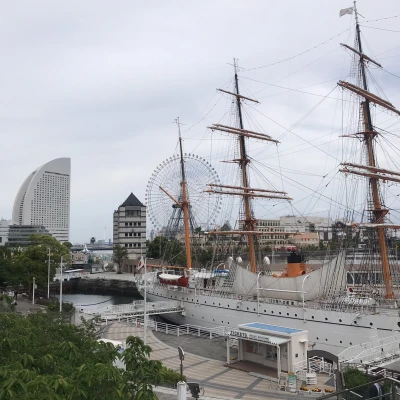 こんにちはー| ᐕ)ﾉ