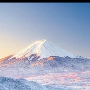 2/7の写真1枚目