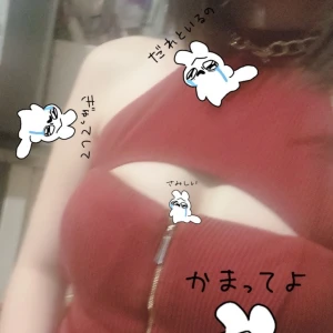めいです！本日も19時からいます🐶の写真1枚目