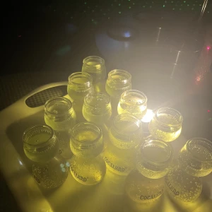 本日22時より出勤です！の写真2枚目