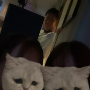 こんばんは🌙*.｡の写真1枚目