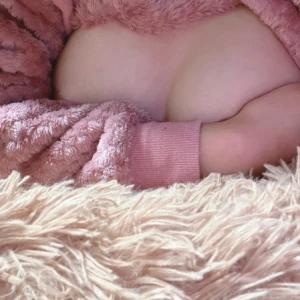 こんにちはの写真1枚目