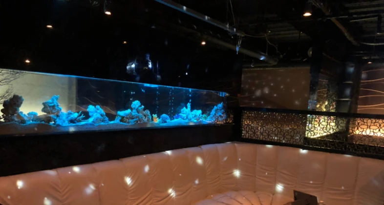 八重洲テストキャバクラ「テストショップ」