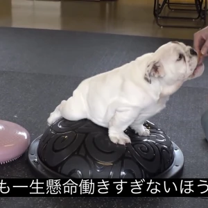 あやかです🍑の写真1枚目