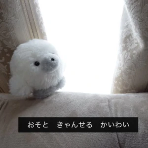 休みなので引きこもりの写真1枚目