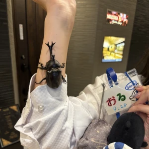 ☀️夏感じてますか❓神栖、カブトムシ居ます✨の写真1枚目