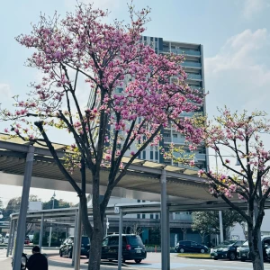 本日21時出勤🍼の写真1枚目