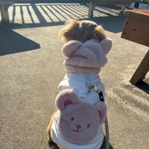 1205🤍の写真2枚目