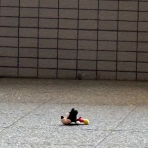 ᐕ)ﾉ 7.22 ②の写真1枚目