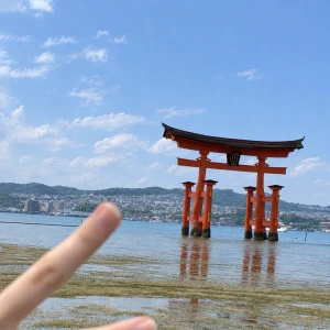 2026.10.24の写真1枚目
