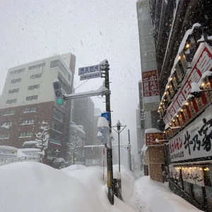 雪、全然降らなかったですね　2/11金曜日の写真3枚目