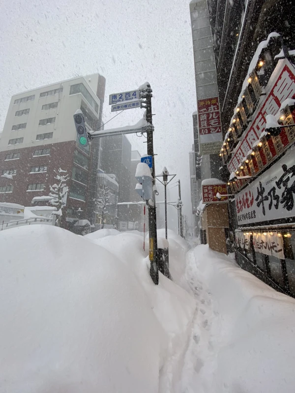 雪、全然降らなかったですね　2/11金曜日