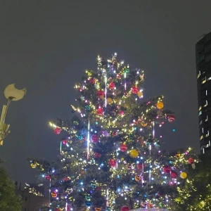 🎄.*の写真1枚目