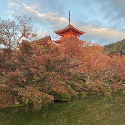 この間1泊2日で京都旅行に行ってきました〜