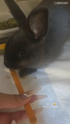 あいちゃんにおやつ貰ったﾖ！！！の写真