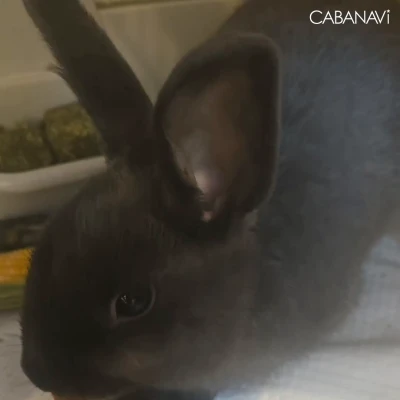 あいちゃんにおやつ貰ったﾖ！！！