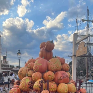 🎃🦇🕸の写真1枚目