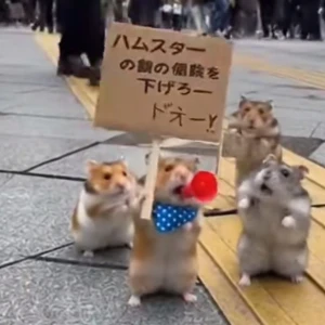 出勤〜の写真1枚目