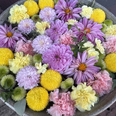 こんにちは、ゆりあです