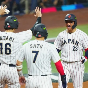 3/16の写真1枚目