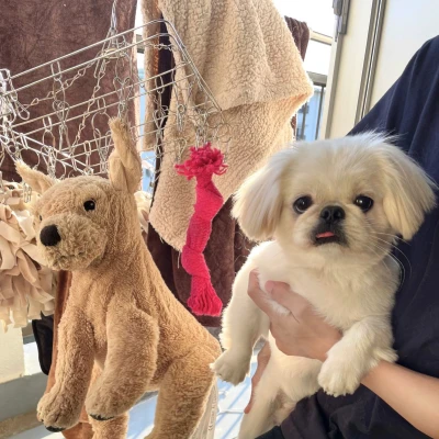 こんばんわん！みゆです⋆͛☽.ﾟ