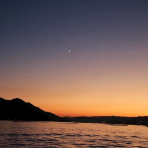 こんばんは🐻の写真1枚目