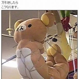 台風の品評会の写真1枚目