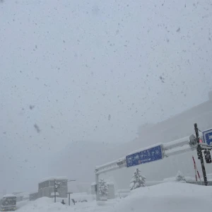 雪、全然降らなかったですね　2/11金曜日の写真2枚目