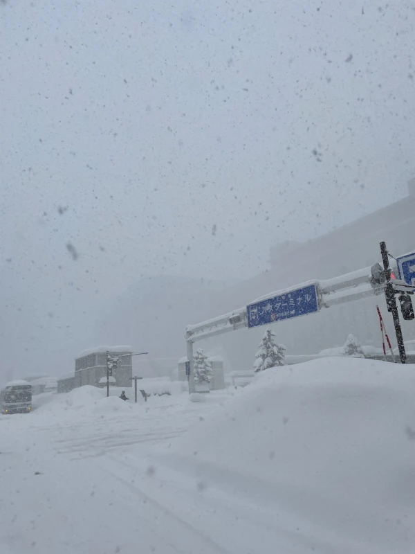 雪、全然降らなかったですね　2/11金曜日