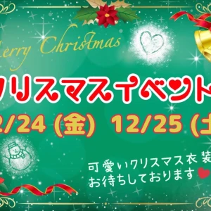 12月24日の写真1枚目