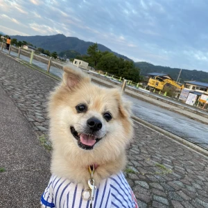 🌝の写真1枚目