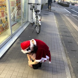 1.19の写真1枚目