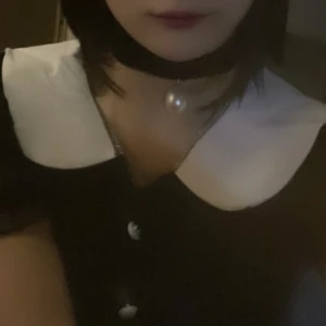 めいです！本日19時からいます🐶の写真1枚目