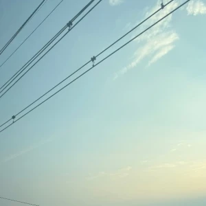 旅行行きたいなーー😺🚄の写真1枚目