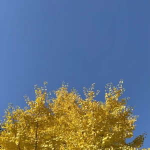 もかです。の写真1枚目