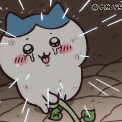 🐱ྀི4.29🐱ྀི