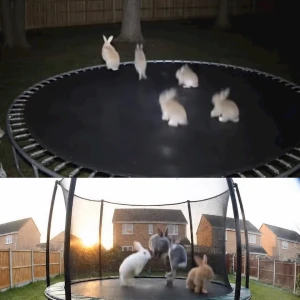 界隈②🐇 ◝✩ ✧︎の写真1枚目
