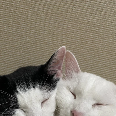 ゆい