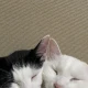 ゆい