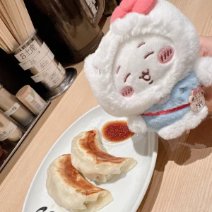 餃子開拓をしたい🥟の写真1枚目