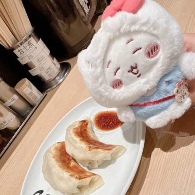 餃子開拓をしたい🥟