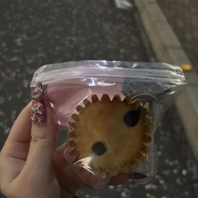こんにちは、出勤です。
