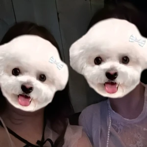 こんばんは🌙*.｡の写真1枚目