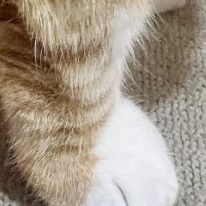 🐱ྀི7.20🐱ྀིの写真1枚目